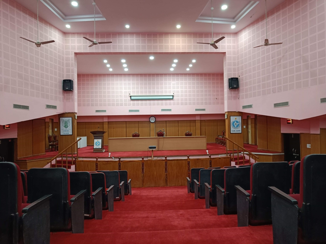 Auditorium
