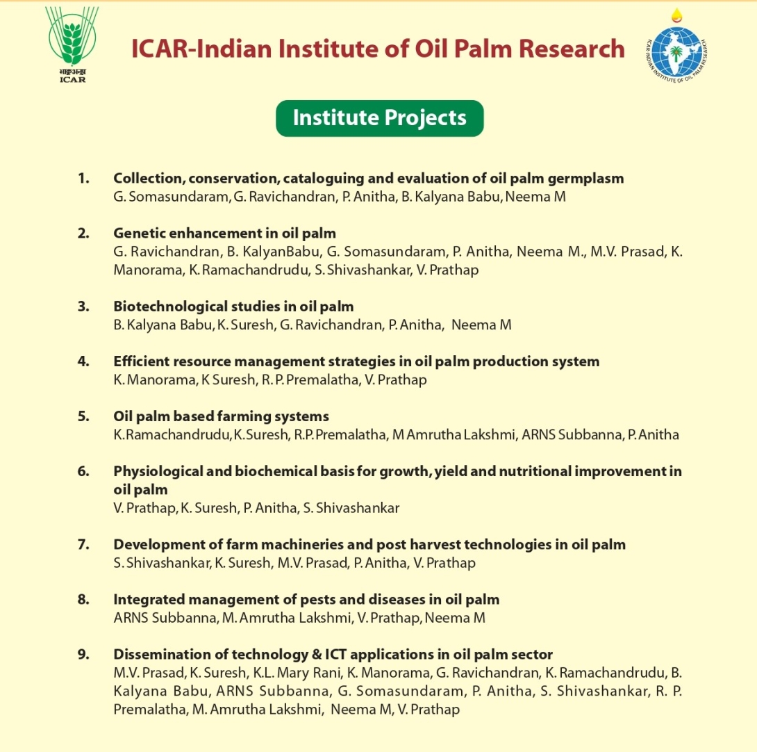 Institute projects