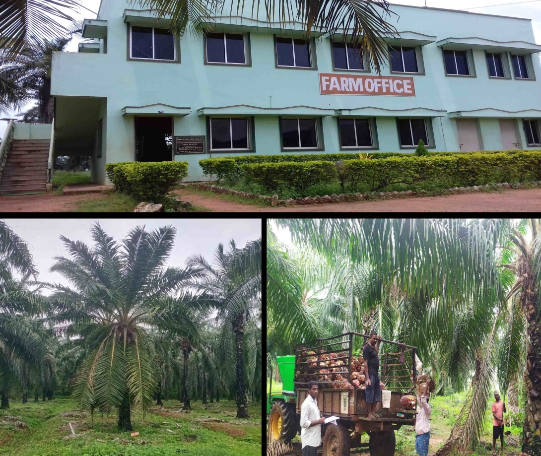 Farm