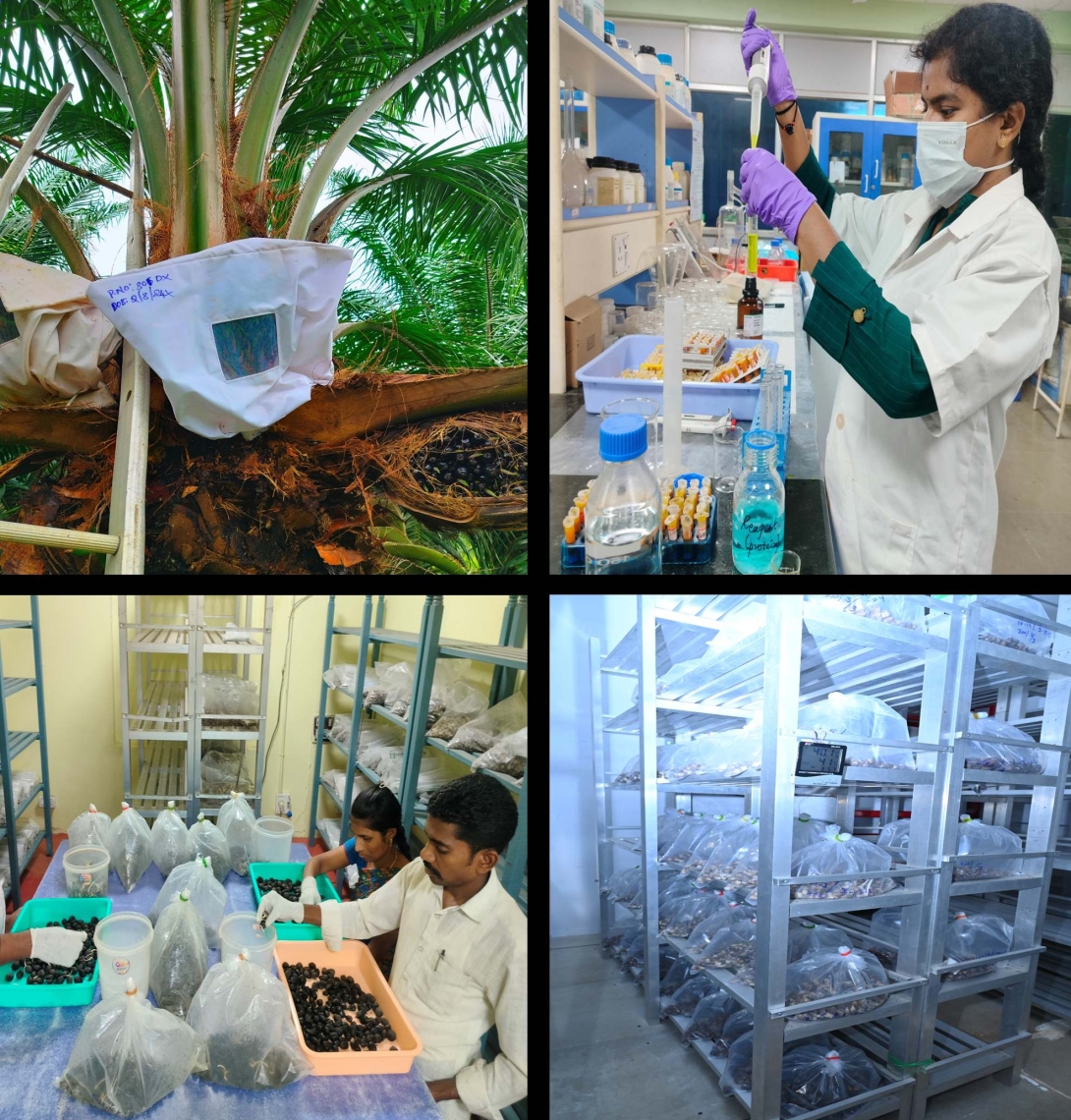 seed lab