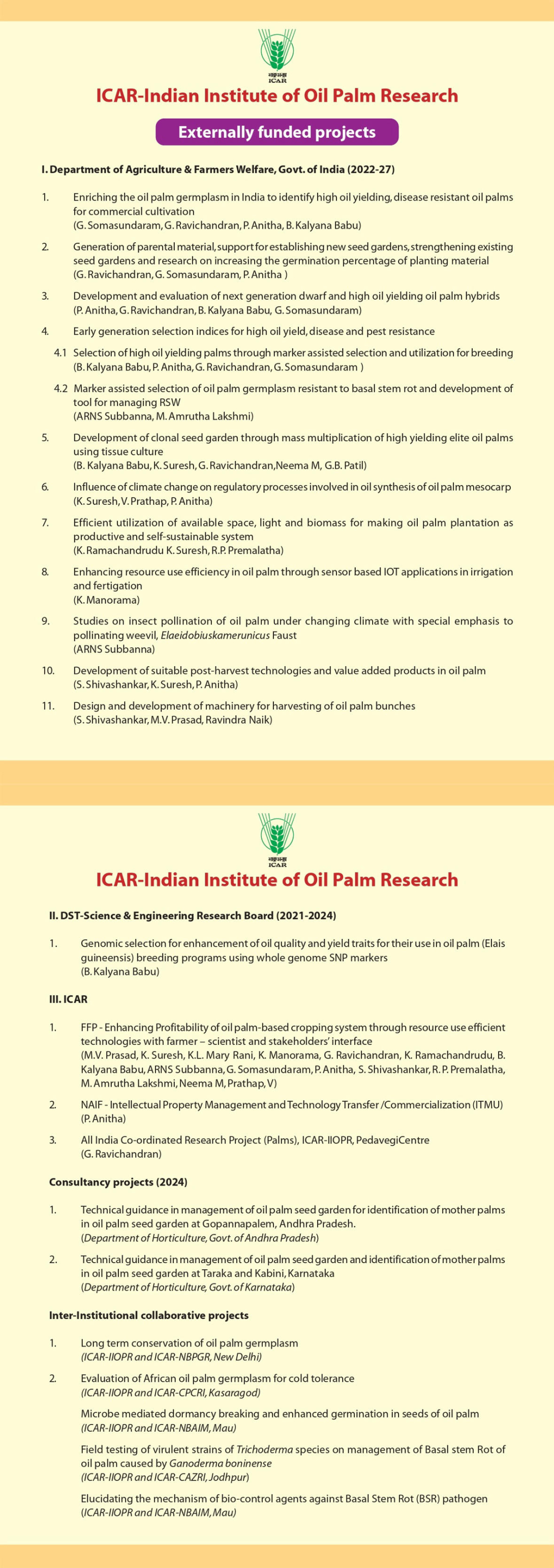 Externally funded projects